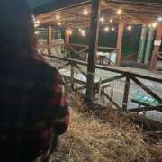 ヒメ日記 2025/01/22 15:40 投稿 なぎ 君とふわふわプリンセスin川越