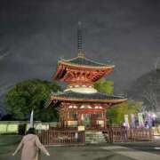 ヒメ日記 2025/03/15 03:00 投稿 なぎ 君とふわふわプリンセスin川越