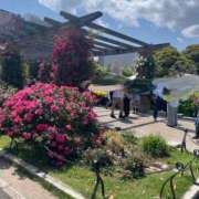 ヒメ日記 2025/05/08 10:29 投稿 ナナ ハニープラザ（ユメオト）