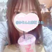 ヒメ日記 2025/03/21 13:17 投稿 うた かりんと赤坂