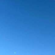 ゆきの ごめんなさい ニュー不夜城