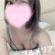 ヒメ日記 2024/12/23 03:33 投稿 リノン◆細身な極エロボディー PLUMERIA（プルメリア）