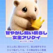 ヒメ日記 2025/12/29 08:51 投稿 りんか Blue Lagoon(ブルーラグーン)