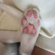 ヒメ日記 2026/02/21 12:25 投稿 りんか Blue Lagoon(ブルーラグーン)