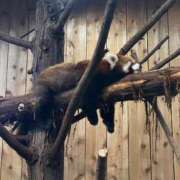 ヒメ日記 2026/02/22 13:11 投稿 りんか Blue Lagoon(ブルーラグーン)