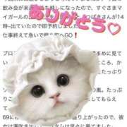 ヒメ日記 2025/02/18 23:44 投稿 つばき One More 奥様　錦糸町店