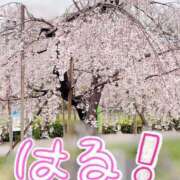 ヒメ日記 2025/04/04 21:53 投稿 つばき One More 奥様　錦糸町店