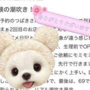 ヒメ日記 2025/05/01 01:15 投稿 つばき One More 奥様　錦糸町店