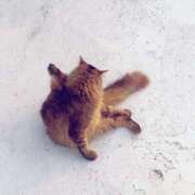 ヒメ日記 2025/05/06 17:24 投稿 つばき One More 奥様　錦糸町店