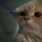 ♪きらり♪ るんるんっ❤︎ 水色りぼん