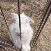 ヒメ日記 2025/01/26 21:44 投稿 結城　愛心 30・40・50代☆人妻熟女コレクション