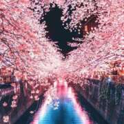 ヒメ日記 2025/03/06 21:48 投稿 結城　愛心 30・40・50代☆人妻熟女コレクション