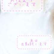 ヒメ日記 2025/04/23 09:15 投稿 結城　愛心 30・40・50代☆人妻熟女コレクション