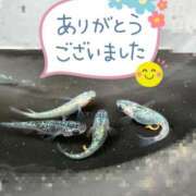 ヒメ日記 2025/04/24 06:31 投稿 結城　愛心 30・40・50代☆人妻熟女コレクション