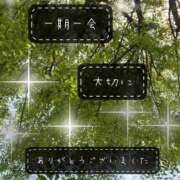 ヒメ日記 2025/04/25 16:04 投稿 結城　愛心 30・40・50代☆人妻熟女コレクション