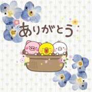 ヒメ日記 2025/05/14 14:12 投稿 結城　愛心 30・40・50代☆人妻熟女コレクション