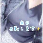 ヒメ日記 2025/05/19 09:25 投稿 結城　愛心 30・40・50代☆人妻熟女コレクション