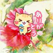 ヒメ日記 2025/05/29 12:04 投稿 結城　愛心 30・40・50代☆人妻熟女コレクション