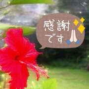 ヒメ日記 2025/05/29 14:17 投稿 結城　愛心 30・40・50代☆人妻熟女コレクション