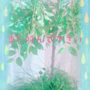 ヒメ日記 2025/07/14 15:54 投稿 結城　愛心 30・40・50代☆人妻熟女コレクション