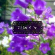 ヒメ日記 2025/08/11 22:48 投稿 結城　愛心 30・40・50代☆人妻熟女コレクション