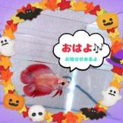 ヒメ日記 2025/10/11 09:22 投稿 結城　愛心 30・40・50代☆人妻熟女コレクション