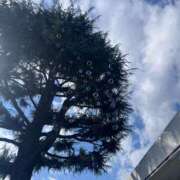 ヒメ日記 2025/11/16 19:38 投稿 結城　愛心 30・40・50代☆人妻熟女コレクション