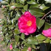 ヒメ日記 2025/12/05 18:04 投稿 結城　愛心 30・40・50代☆人妻熟女コレクション