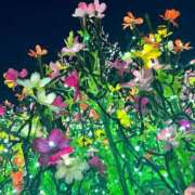 ヒメ日記 2026/02/01 20:16 投稿 結城　愛心 30・40・50代☆人妻熟女コレクション