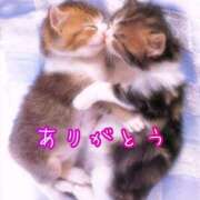 ヒメ日記 2026/02/16 19:08 投稿 結城　愛心 30・40・50代☆人妻熟女コレクション