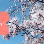 ヒメ日記 2026/04/05 18:32 投稿 結城　愛心 30・40・50代☆人妻熟女コレクション