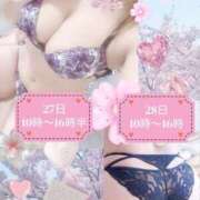 ヒメ日記 2026/04/25 09:20 投稿 結城　愛心 30・40・50代☆人妻熟女コレクション