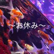 ヒメ日記 2026/05/20 10:57 投稿 結城　愛心 30・40・50代☆人妻熟女コレクション