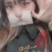 ヒメ日記 2025/02/14 16:02 投稿 はち 密着指導！バカンス学園 尼崎校