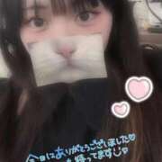 ヒメ日記 2025/02/15 11:22 投稿 はち 密着指導！バカンス学園 尼崎校