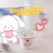 ヒメ日記 2025/02/15 16:02 投稿 はち 密着指導！バカンス学園 尼崎校