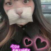 ヒメ日記 2025/02/16 13:42 投稿 はち 密着指導！バカンス学園 尼崎校