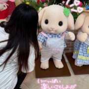 ヒメ日記 2025/07/16 08:42 投稿 はち 密着指導！バカンス学園 尼崎校