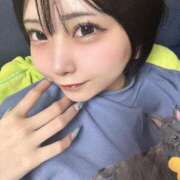 ヒメ日記 2025/08/17 09:14 投稿 芹沢ゆり HYPER TOKYO