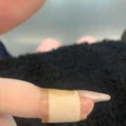 ヒメ日記 2025/04/09 16:31 投稿 ひすい ウルトラドリーム