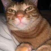 ヒメ日記 2025/06/12 08:09 投稿 ひすい ウルトラドリーム