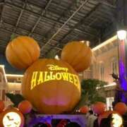 ヒメ日記 2025/10/31 11:19 投稿 ひすい ウルトラドリーム