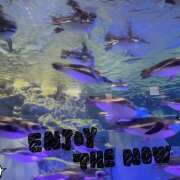 ヒメ日記 2024/12/28 13:03 投稿 神谷 クラリスDAO