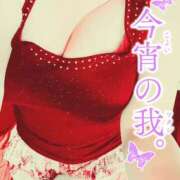 ヒメ日記 2025/07/01 22:06 投稿 ももこ 奥鉄オクテツ大阪