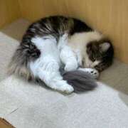 ヒメ日記 2025/07/11 19:00 投稿 さら eroina