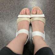 ヒメ日記 2025/08/11 20:04 投稿 さら eroina