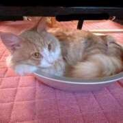 ヒメ日記 2025/08/27 19:02 投稿 さら eroina