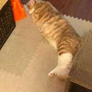 ヒメ日記 2025/09/15 12:03 投稿 さら eroina