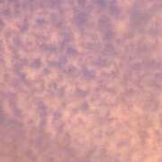 ヒメ日記 2025/10/12 18:35 投稿 れた アムールクリスタル