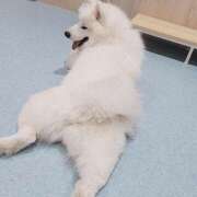 ヒメ日記 2026/01/11 18:15 投稿 れた アムールクリスタル